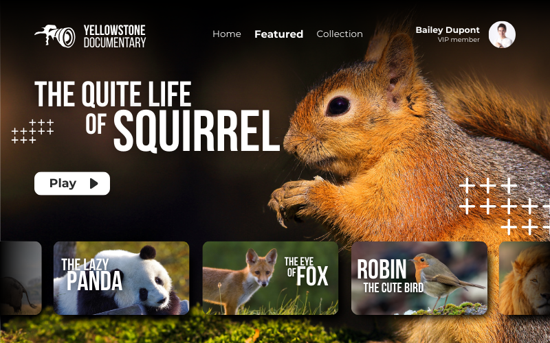 Yellowstone Documentary